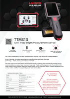 TTM313 Datasheet